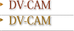 DV-CAM
