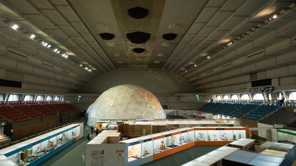 xdome2-1120x629.jpg.pagespeed.